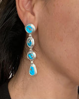 Blue Ridge Alchemy Earrings